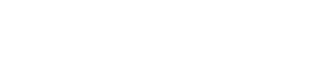Silver Care ETS – Villaggi Evergreen