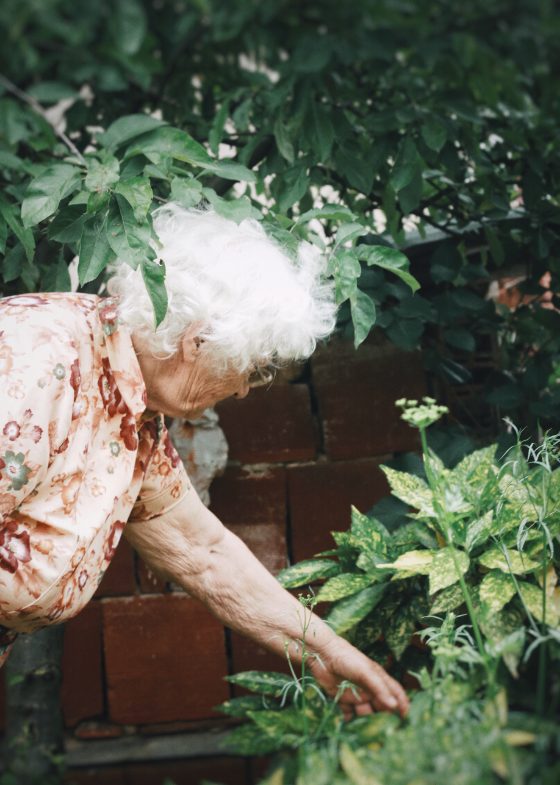 Una donna anziana si prende cura delle piante in un giardino